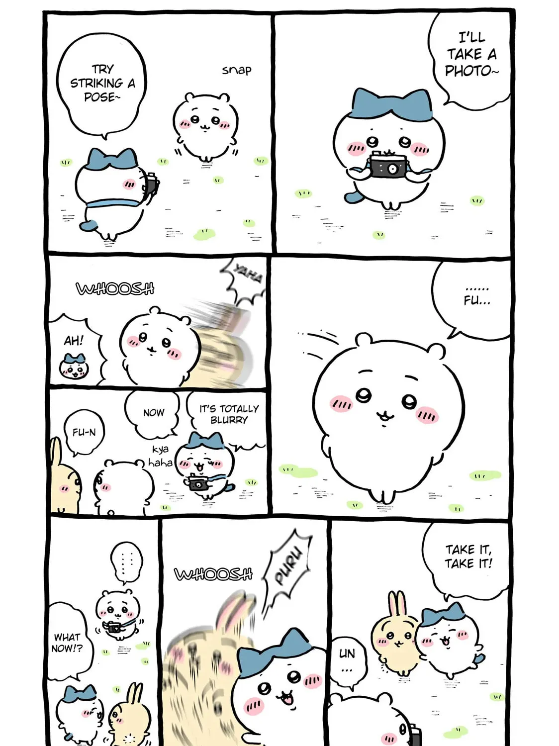 Chiikawa: Nanka Chiisakute Kawaii Yatsu Chapter 43 page 12 - 