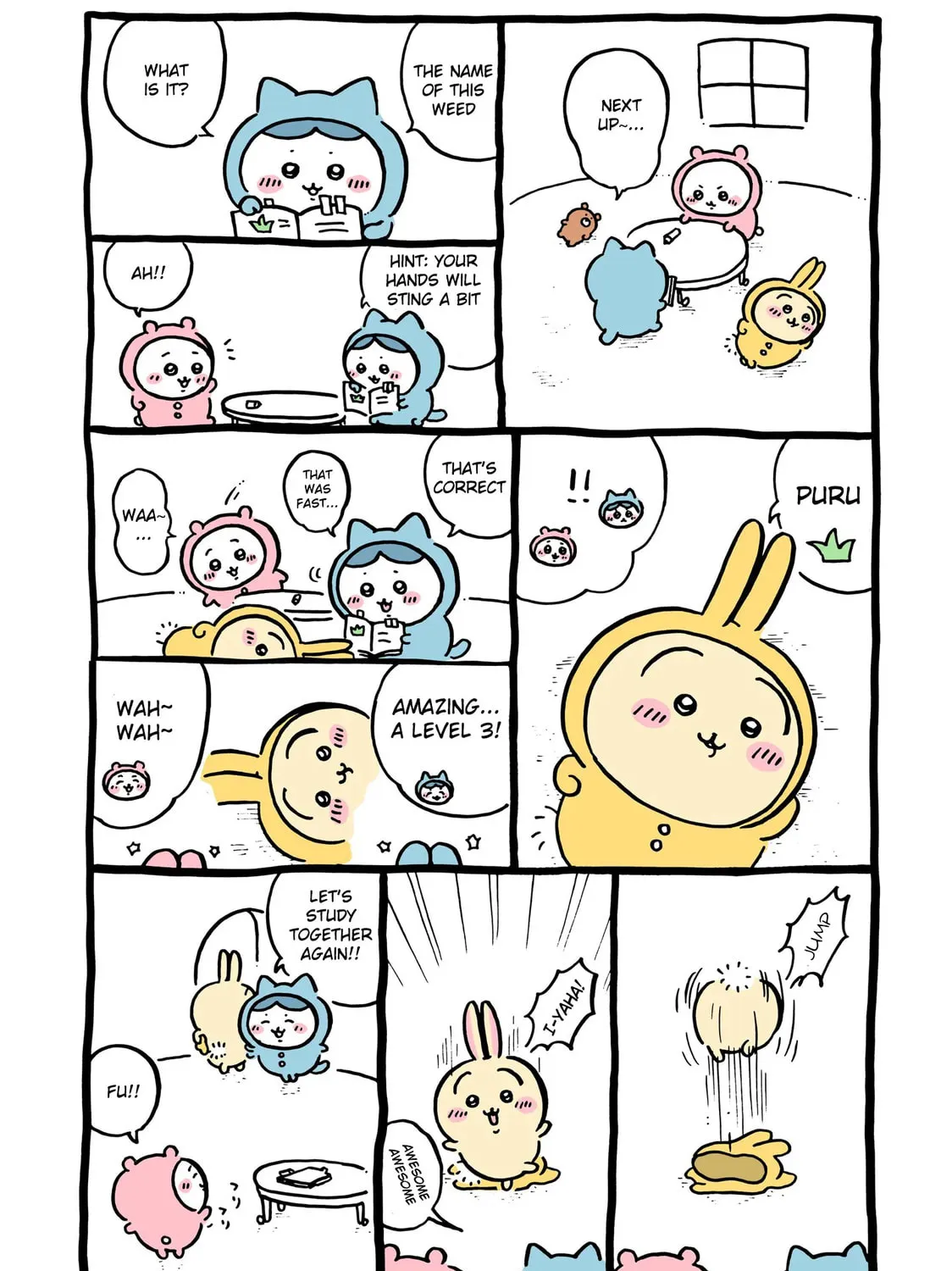 Chiikawa: Nanka Chiisakute Kawaii Yatsu Chapter 43 page 8 - 