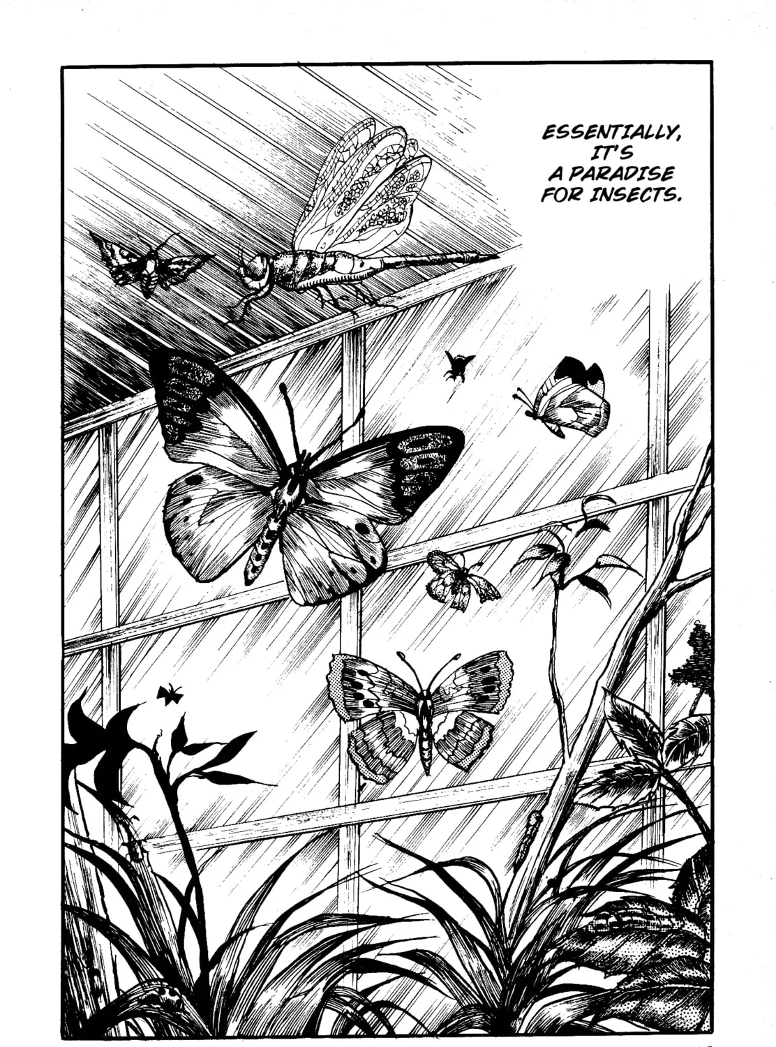 Chikashitsu no Mushi Jigoku Chapter 3 page 15 - 