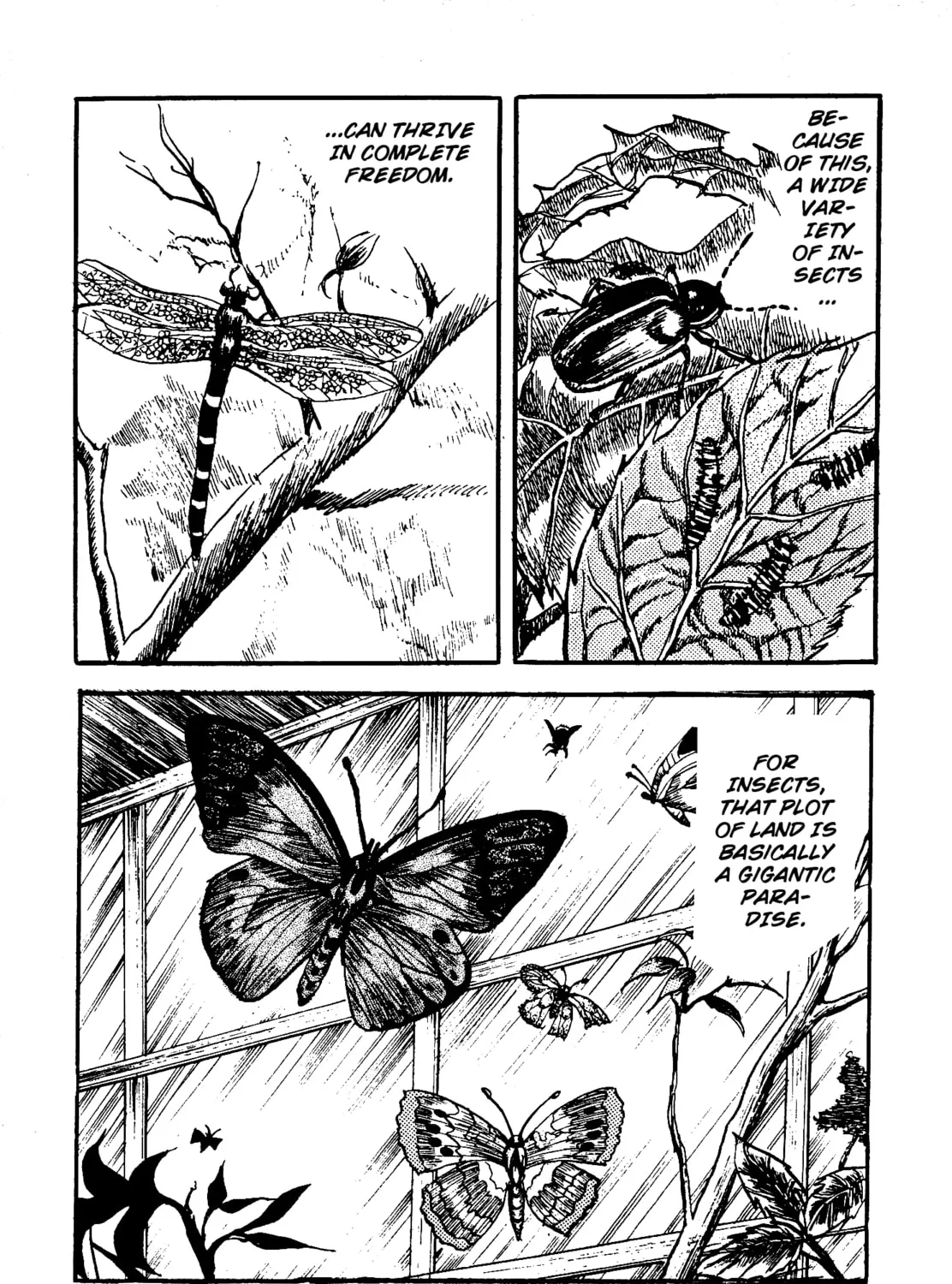 Chikashitsu no Mushi Jigoku Chapter 5 page 15 - 