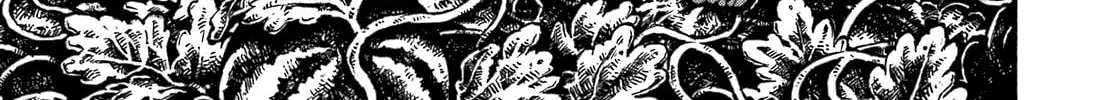 Chimoguri Ringo to Kingyobachi Otoko Chapter 13 page 22 - 