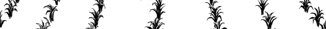 Chimoguri Ringo to Kingyobachi Otoko Chapter 4 page 46 - 