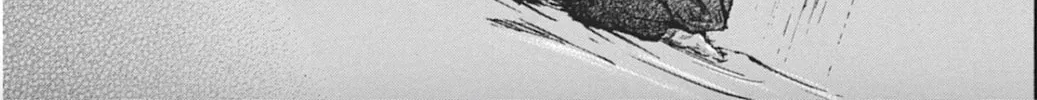 Choujuu Gitan II Chapter 2 page 44 - 