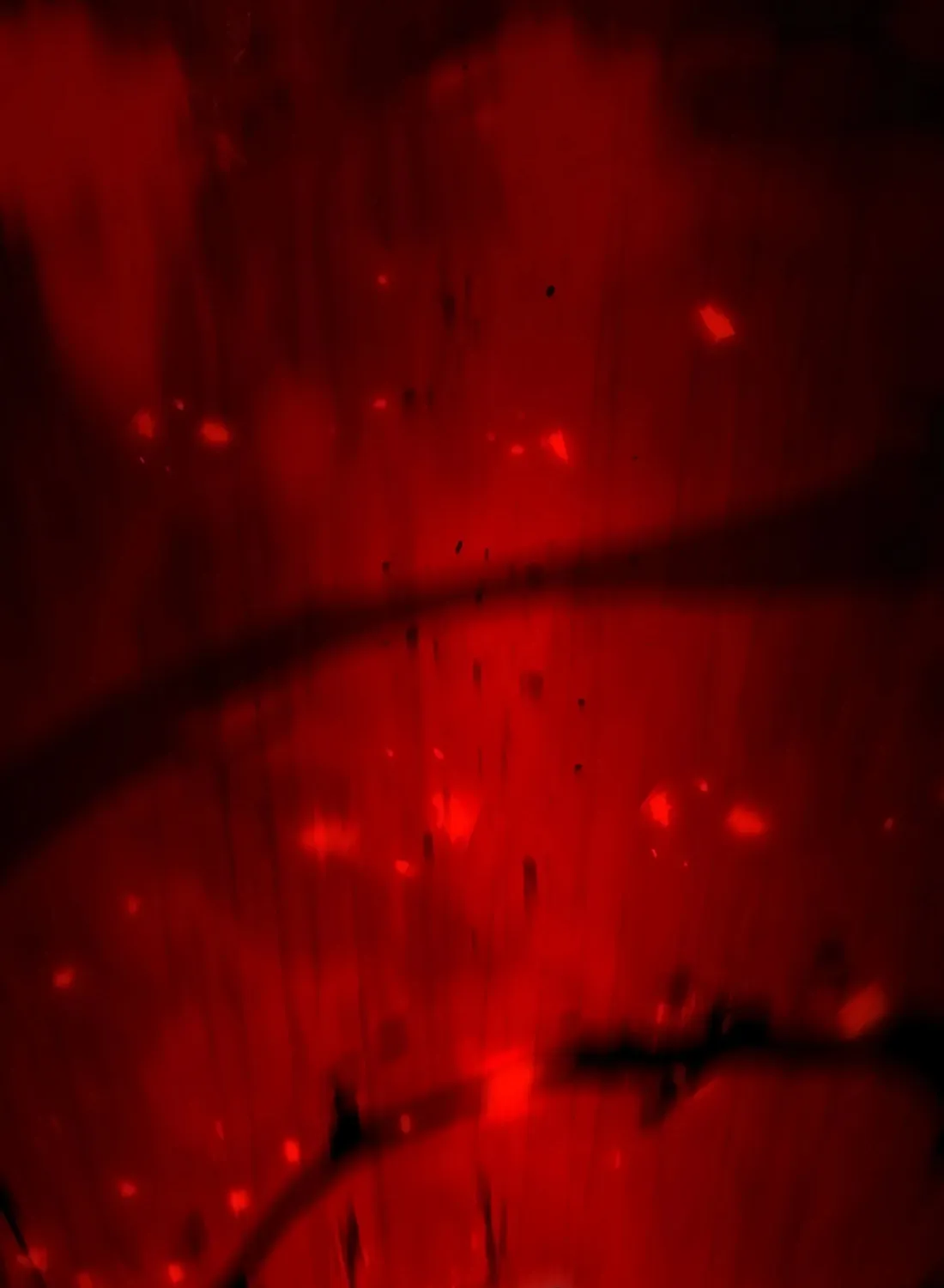 Chronicle of Runes Chapter 1 page 277 - 