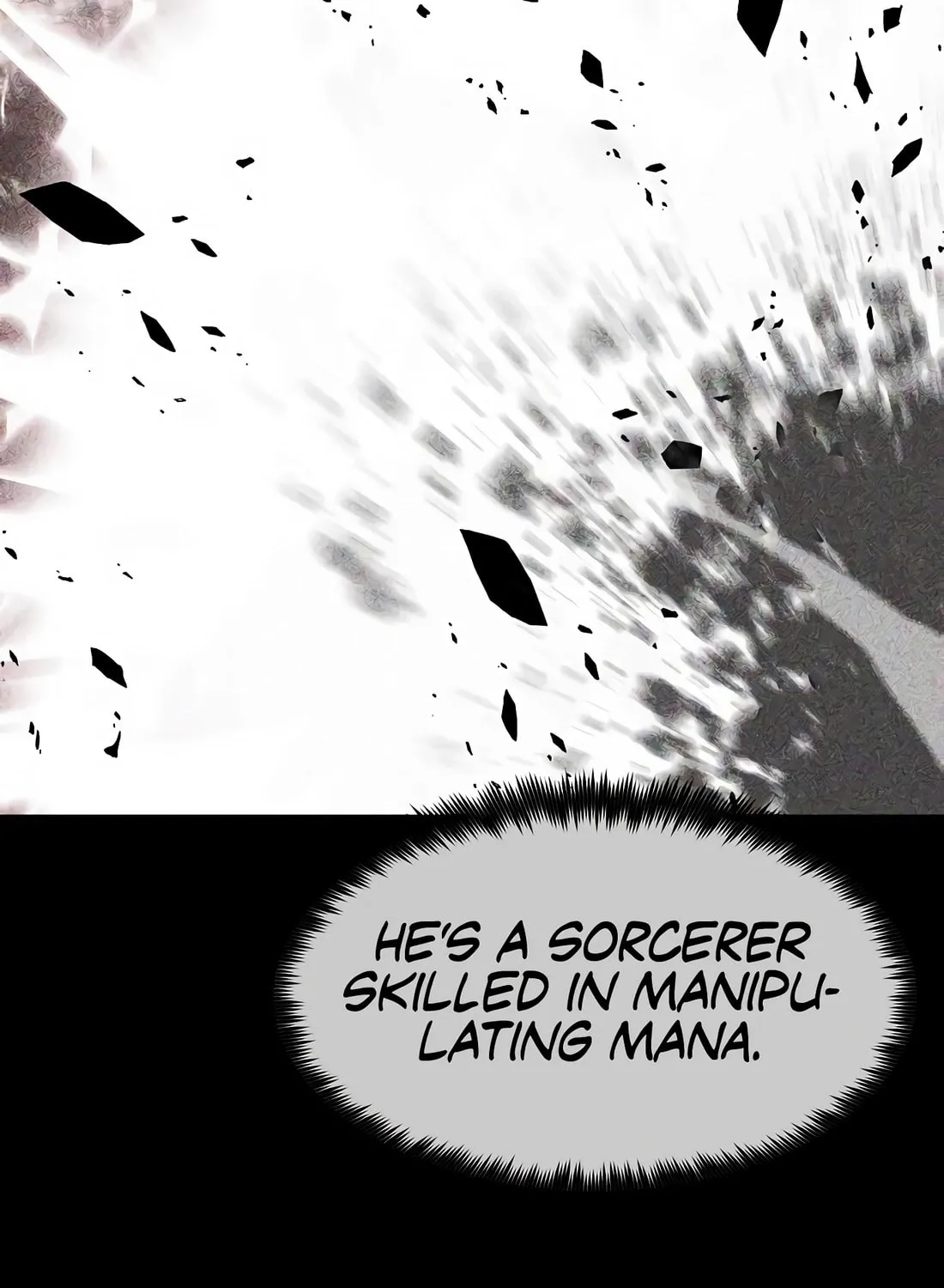 Chronicle of Runes Chapter 5 page 14 - 