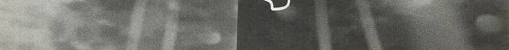 Chrono Monochrome Chapter 39 page 4 - 