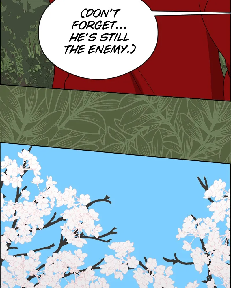 Cinderella Boy Chapter 42 page 54 - 
