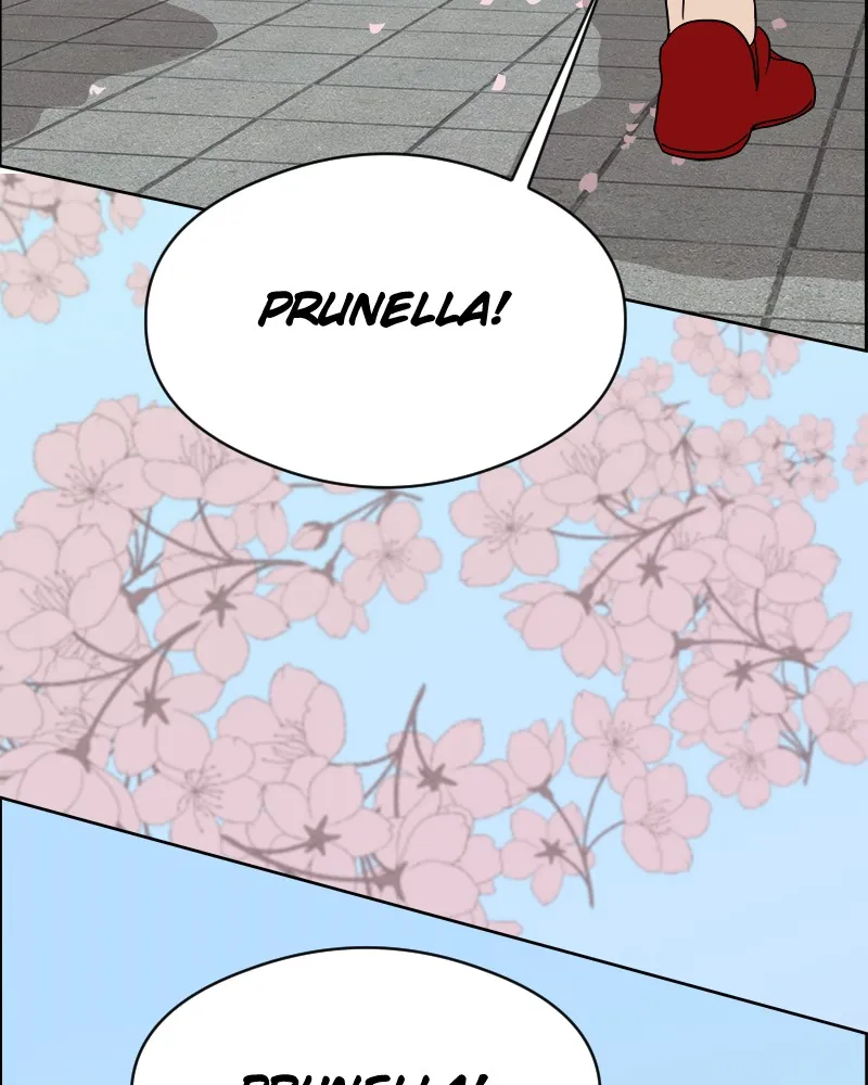 Cinderella Boy Chapter 44 page 12 - 