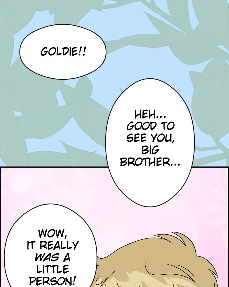 Cinderella Boy Chapter 45 page 61 - 