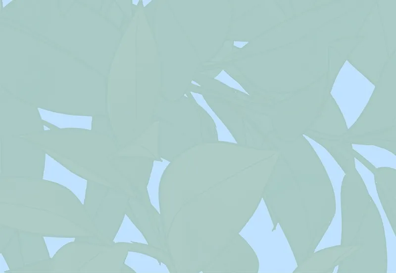 Cinderella Boy Chapter 50 page 121 - 