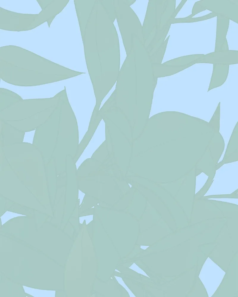 Cinderella Boy Chapter 54 page 157 - 
