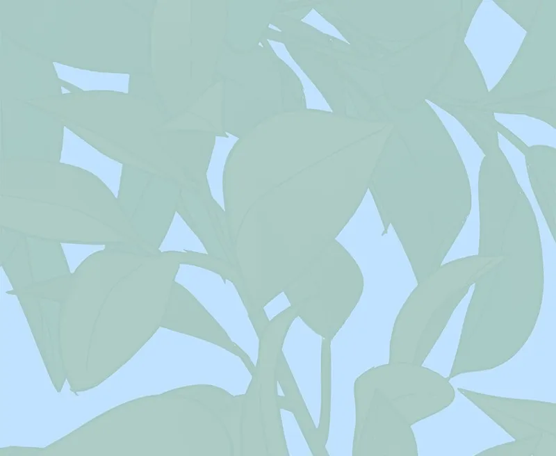 Cinderella Boy Chapter 54 page 160 - 