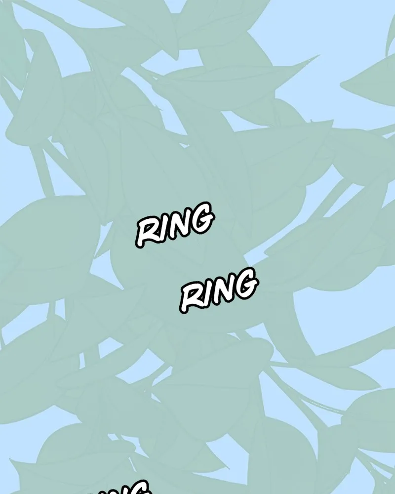 Cinderella Boy Chapter 54 page 177 - 