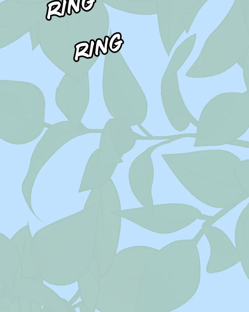 Cinderella Boy Chapter 54 page 178 - 