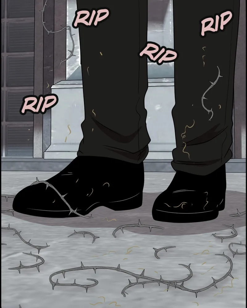 Cinderella Boy Chapter 54 page 41 - 