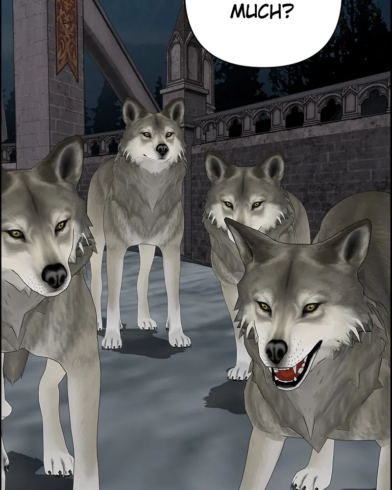 Cinderella Boy Chapter 54 page 81 - 