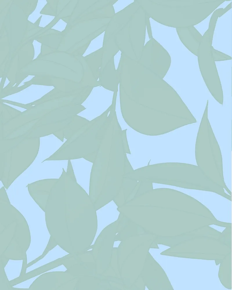 Cinderella Boy Chapter 55 page 136 - 