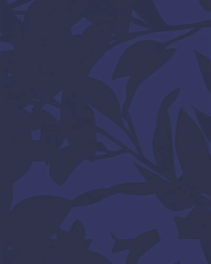 Cinderella Boy Chapter 56 page 157 - 