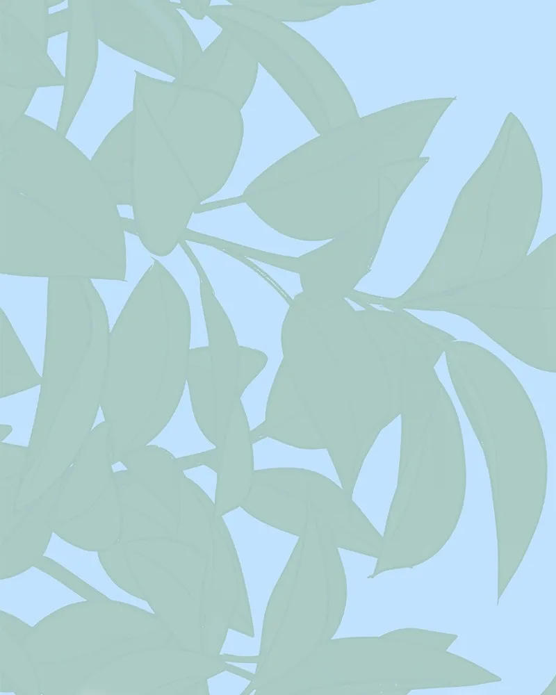 Cinderella Boy Chapter 56 page 26 - 