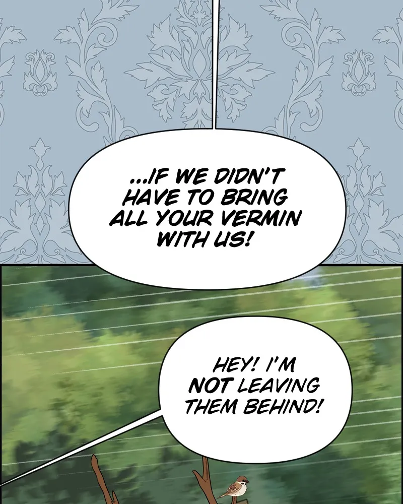 Cinderella Boy Chapter 59 page 100 - 