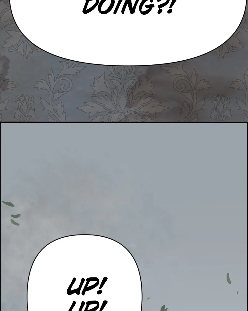 Cinderella Boy Chapter 60 page 187 - 