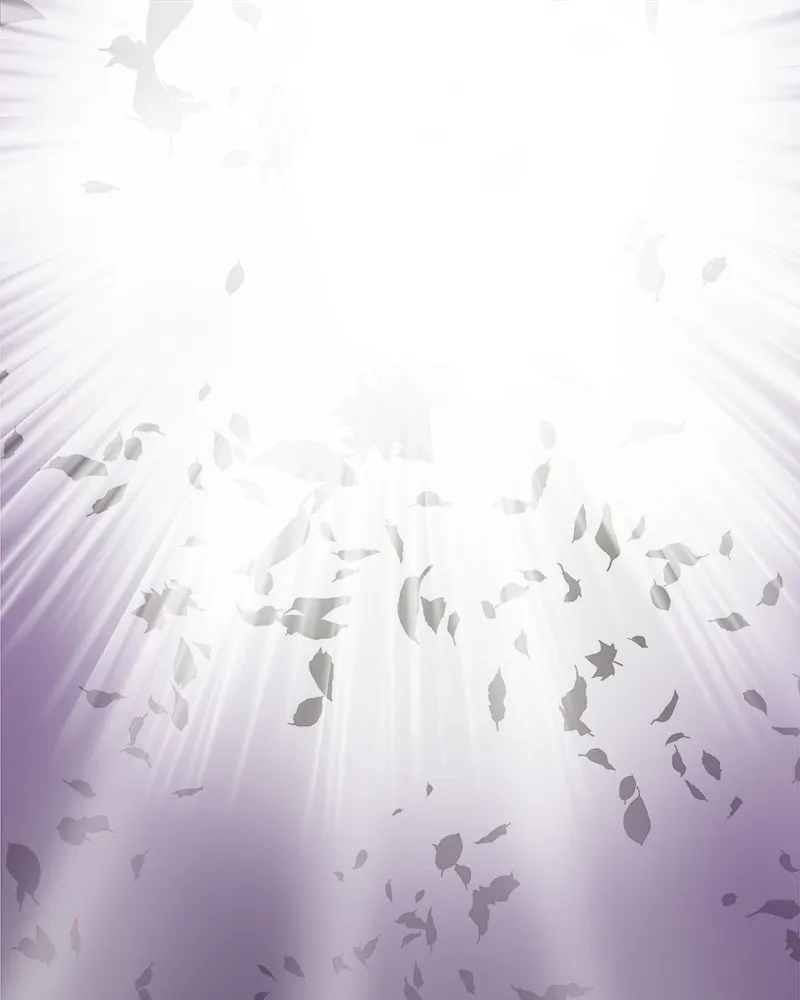 Cinderella Boy Chapter 61 page 163 - 