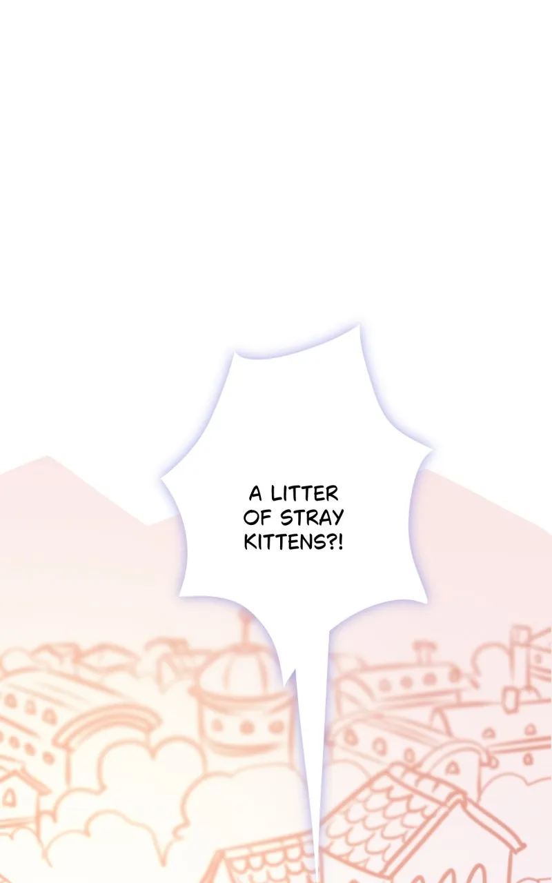 Cinderelle Chapter 38 page 43 - 