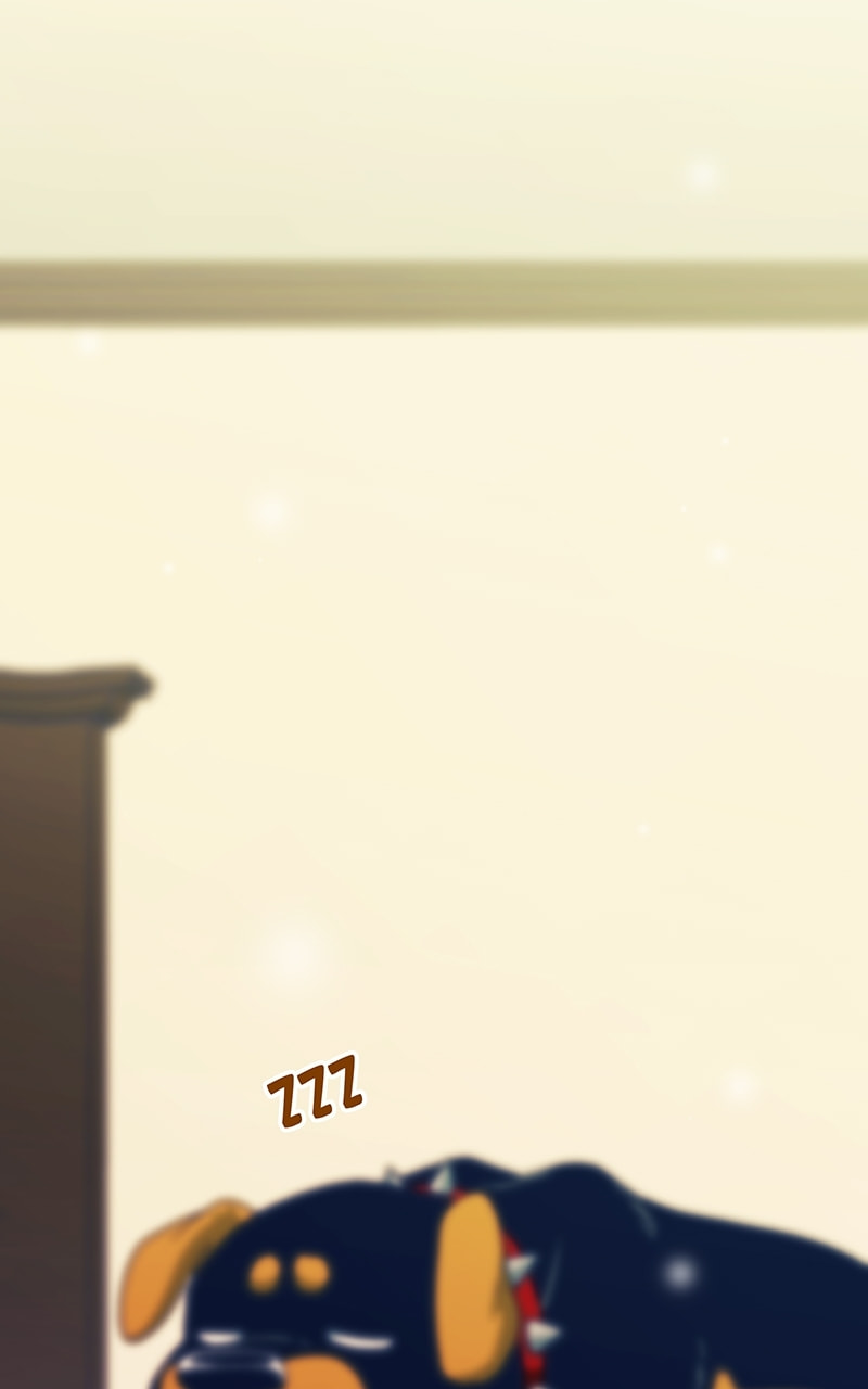 City of Zak Chapter 253 page 2 - 