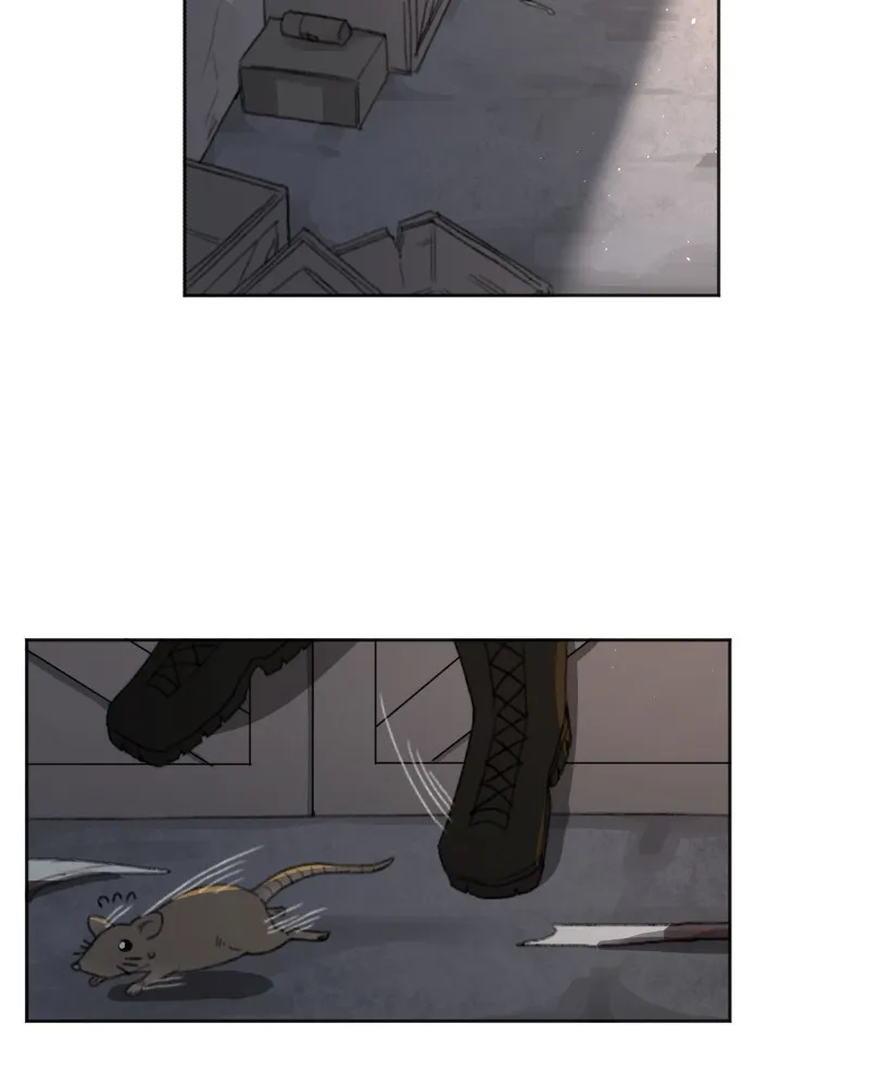 Code Adam Chapter 29 page 28 - 