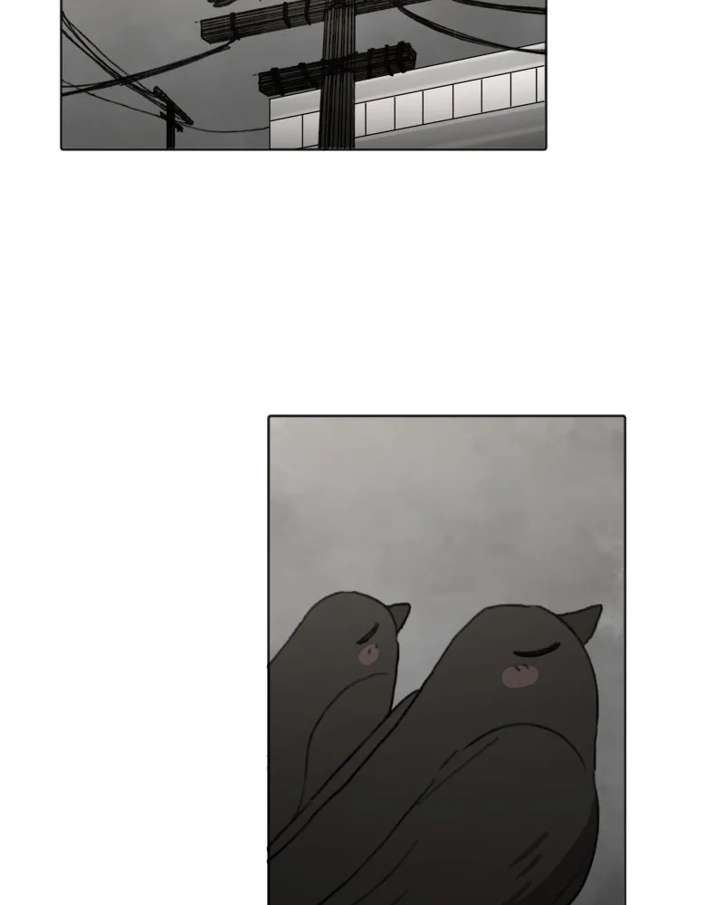 Code Adam Chapter 81 page 60 - 