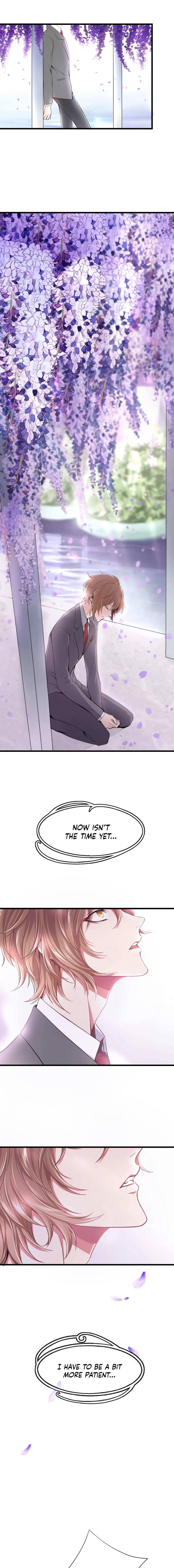 Coherence Chapter 11 page 3 - 
