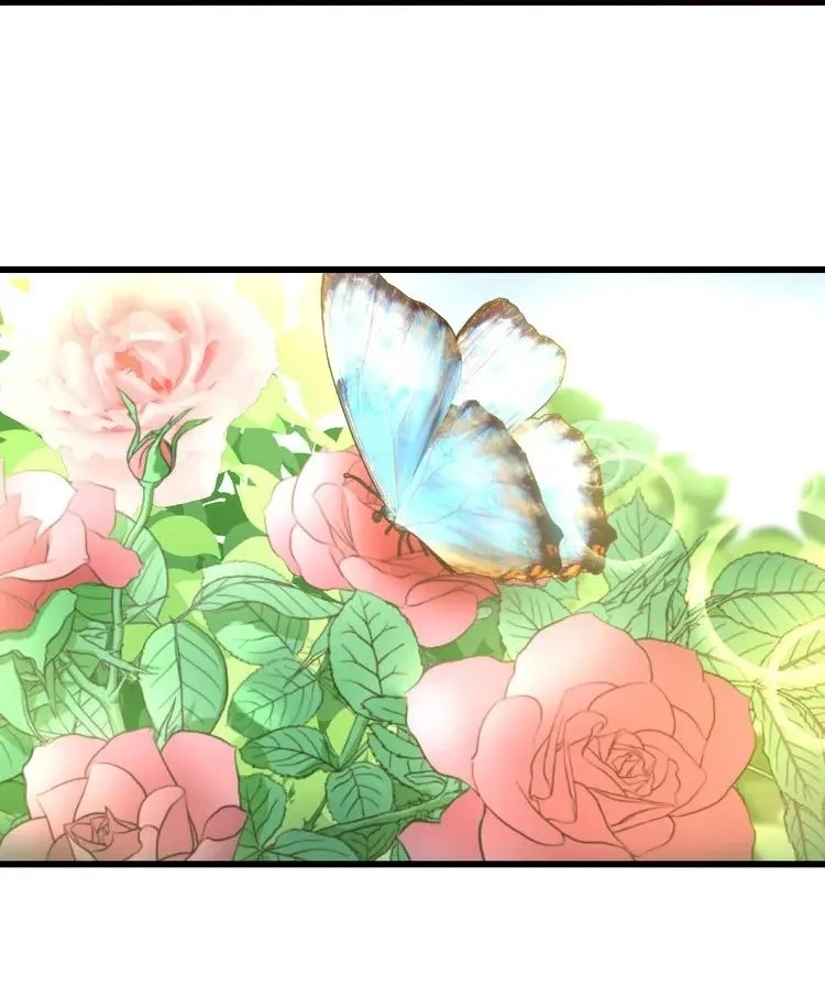 Coherence Chapter 31 page 45 - 