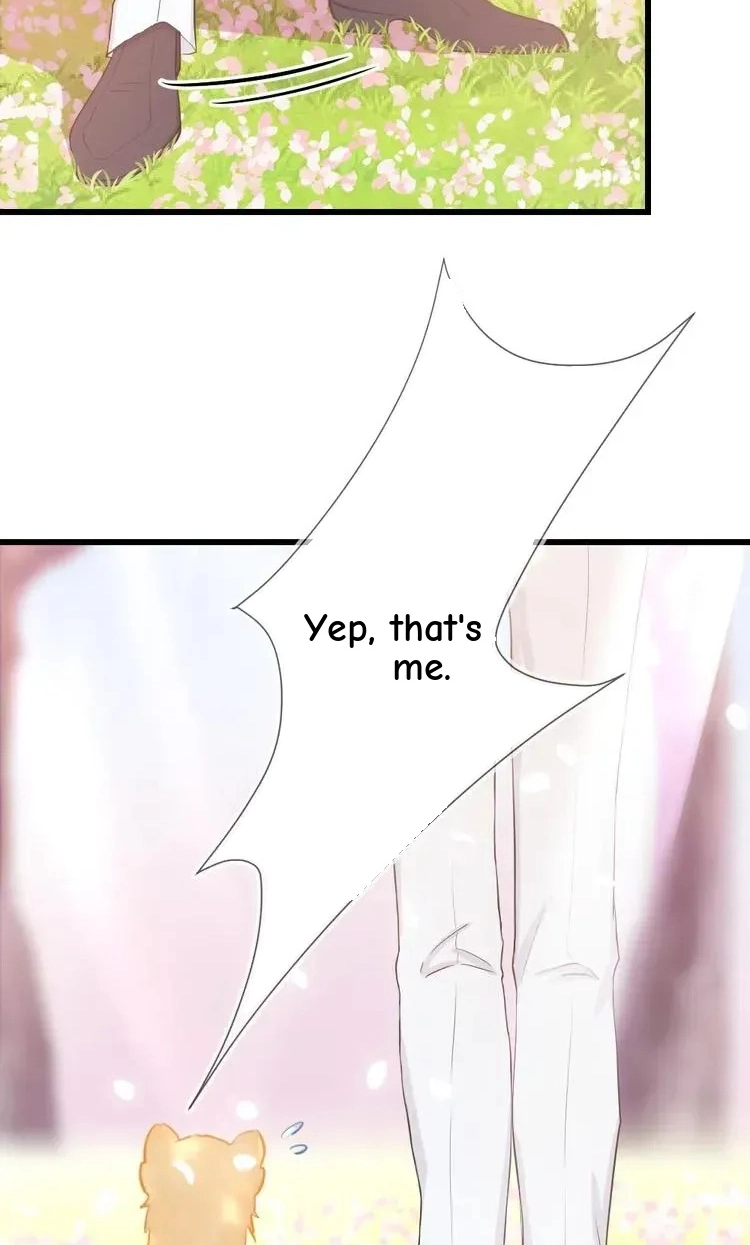 Coherence Chapter 33.5 page 62 - 