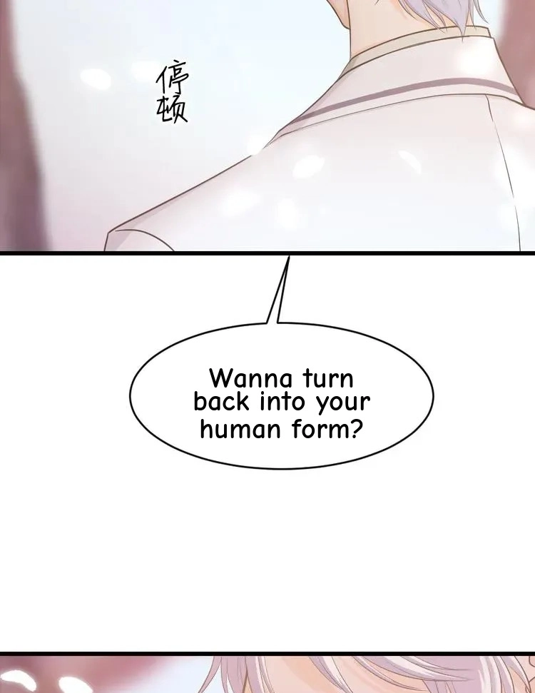 Coherence Chapter 33.5 page 64 - 