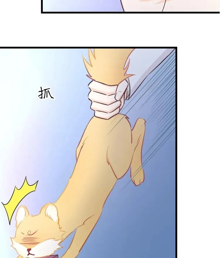 Coherence Chapter 34.5 page 48 - 