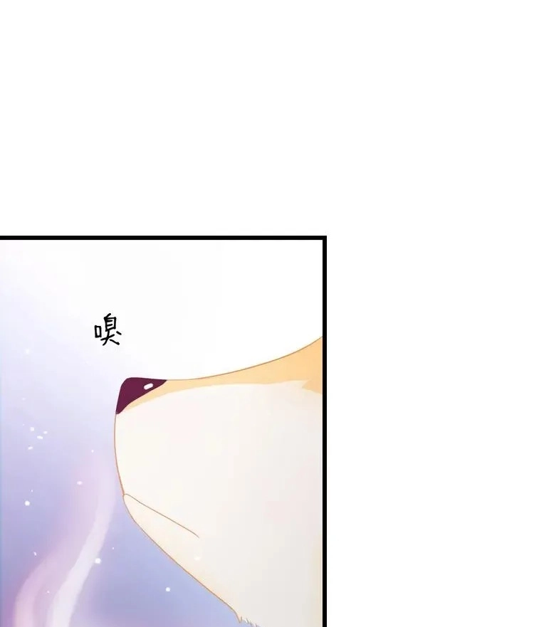 Coherence Chapter 37 page 51 - 