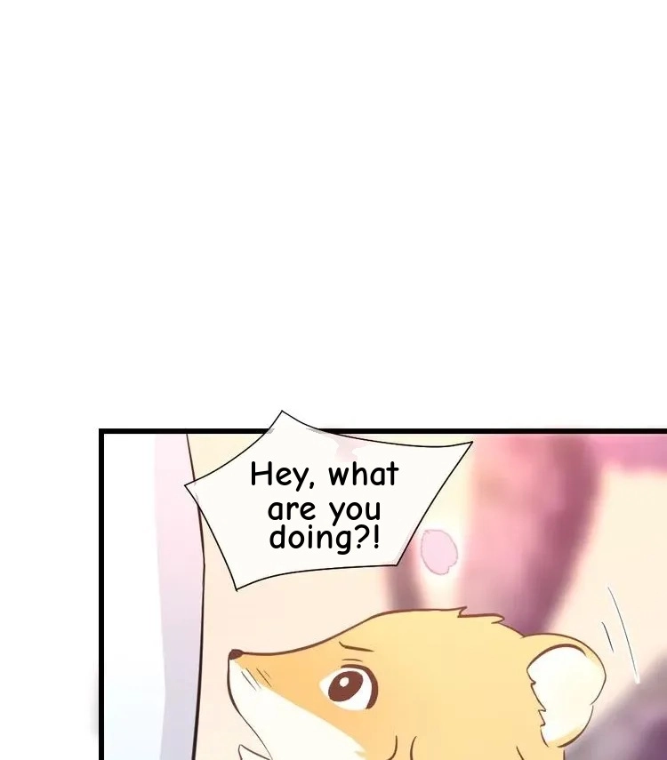 Coherence Chapter 38 page 54 - 
