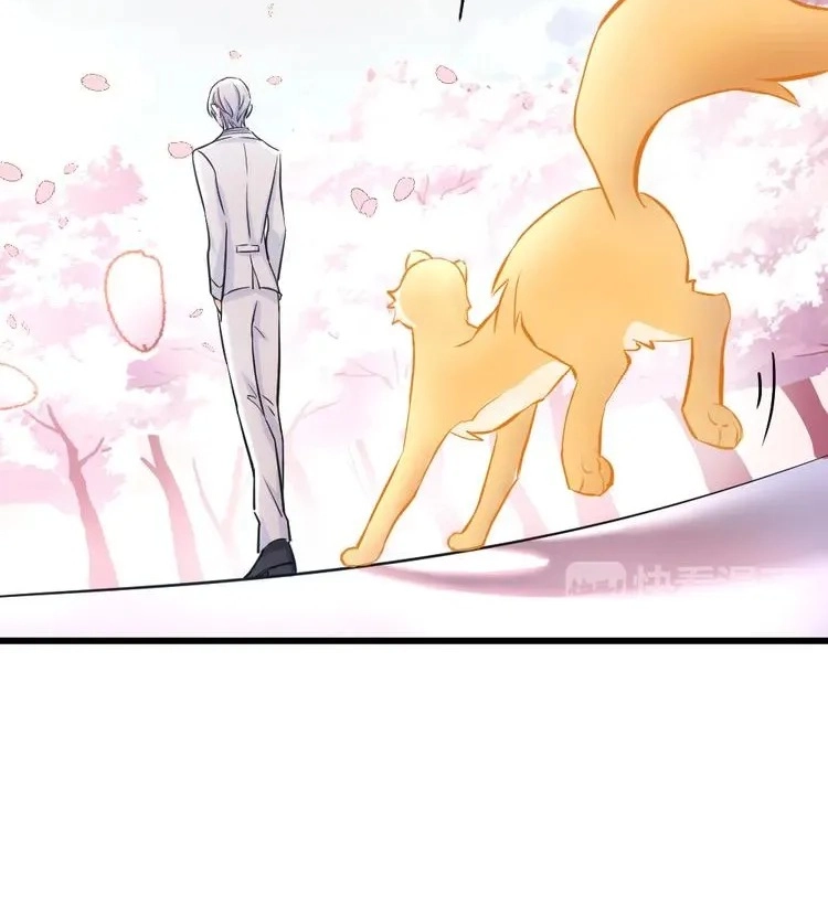 Coherence Chapter 39 page 14 - 