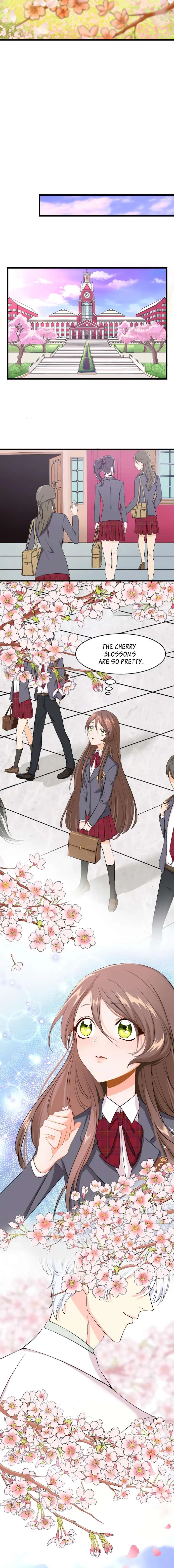 Coherence Chapter 4 page 5 - 