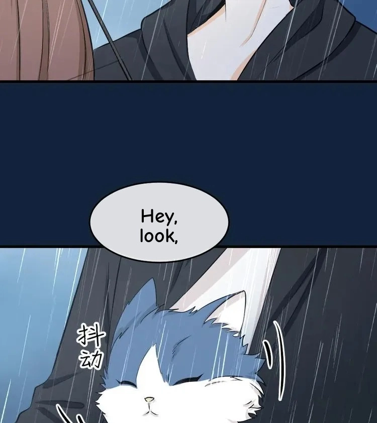 Coherence Chapter 43 page 24 - 