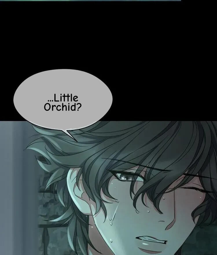 Coherence Chapter 83 page 6 - 