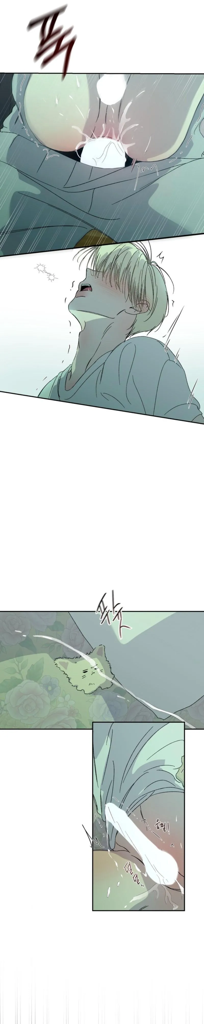 Color Point Chapter 15 page 23 - 