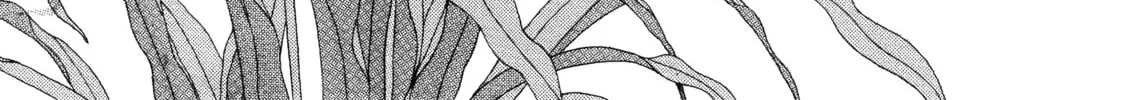 Color Trilogy Chapter 10 page 2 - 