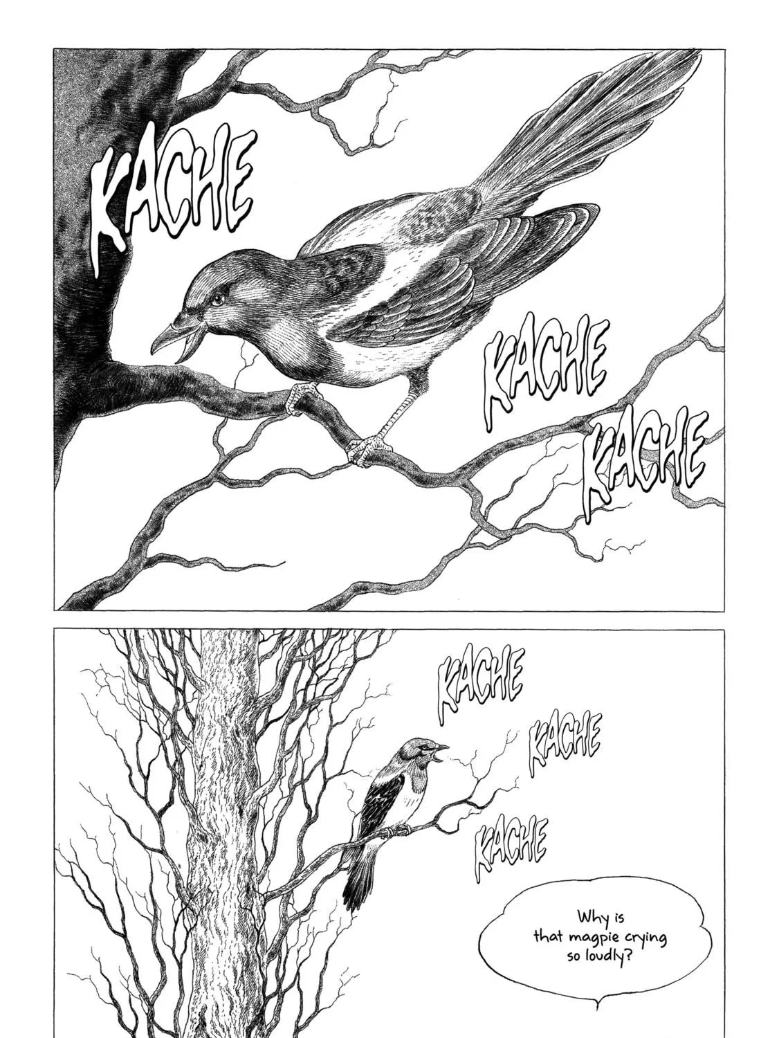 Color Trilogy Chapter 19 page 11 - 