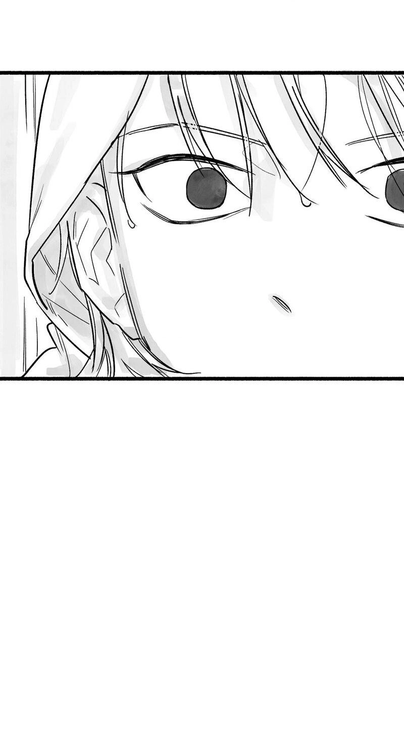 Common and Widespread Chapter 52 page 19 - 