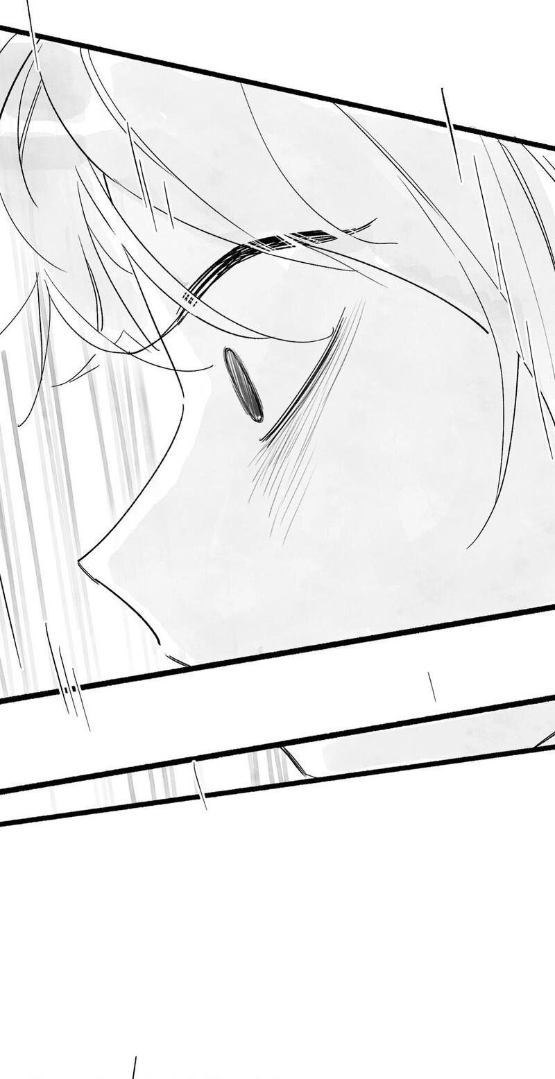 Common and Widespread Chapter 54 page 19 - 