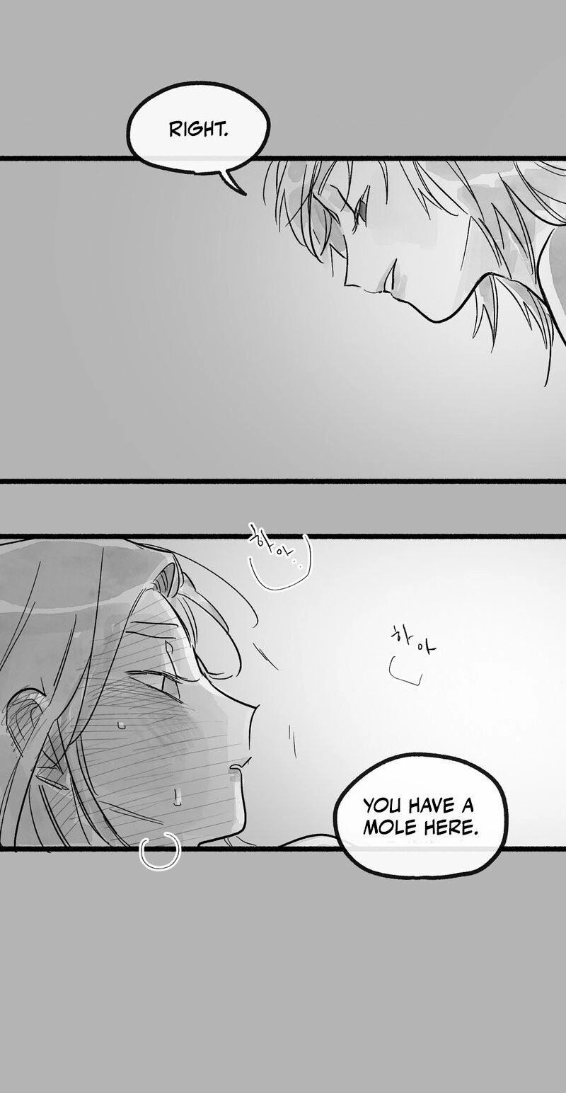 Common and Widespread Chapter 56 page 13 - 