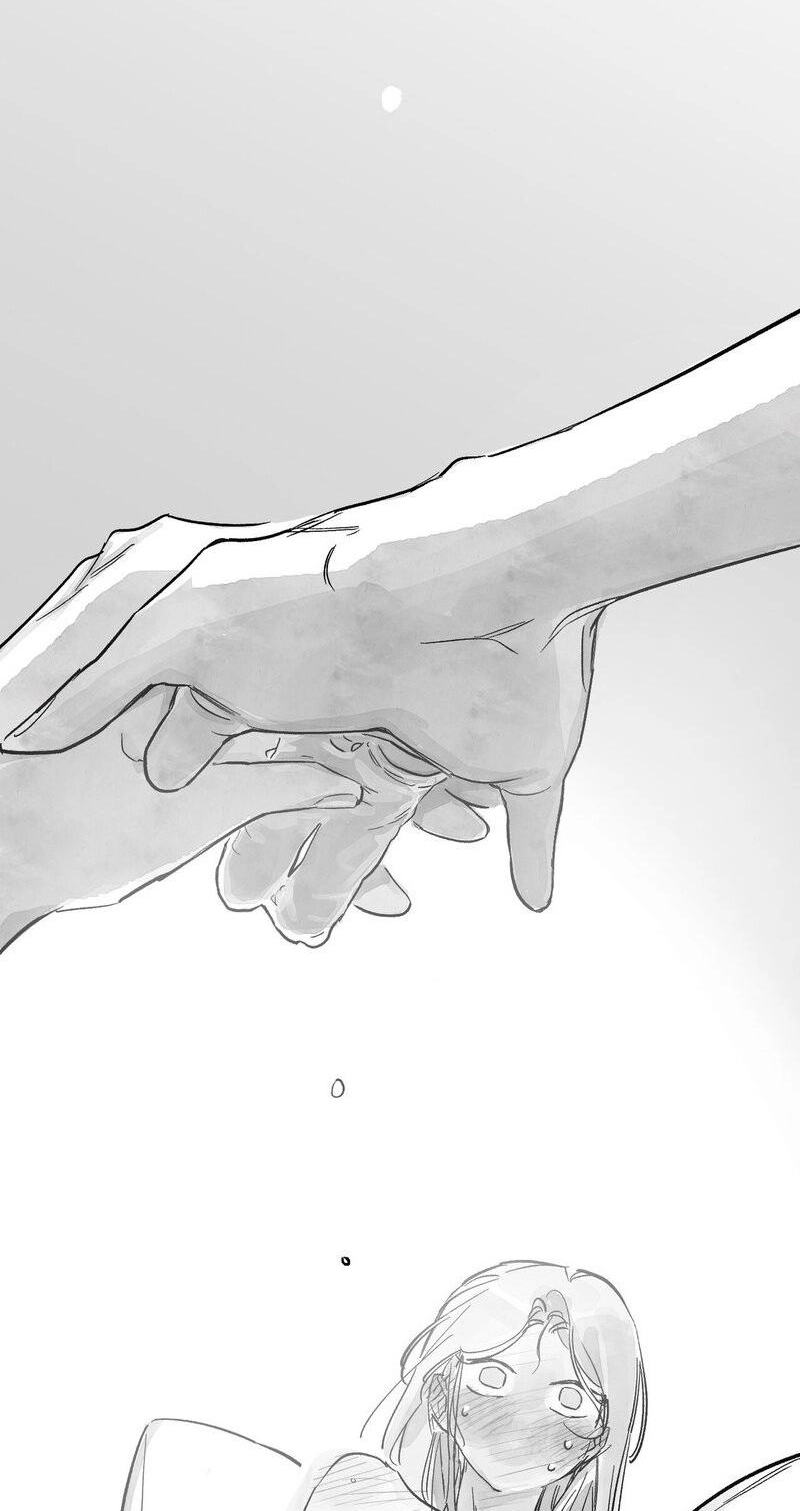 Common and Widespread Chapter 56 page 3 - 