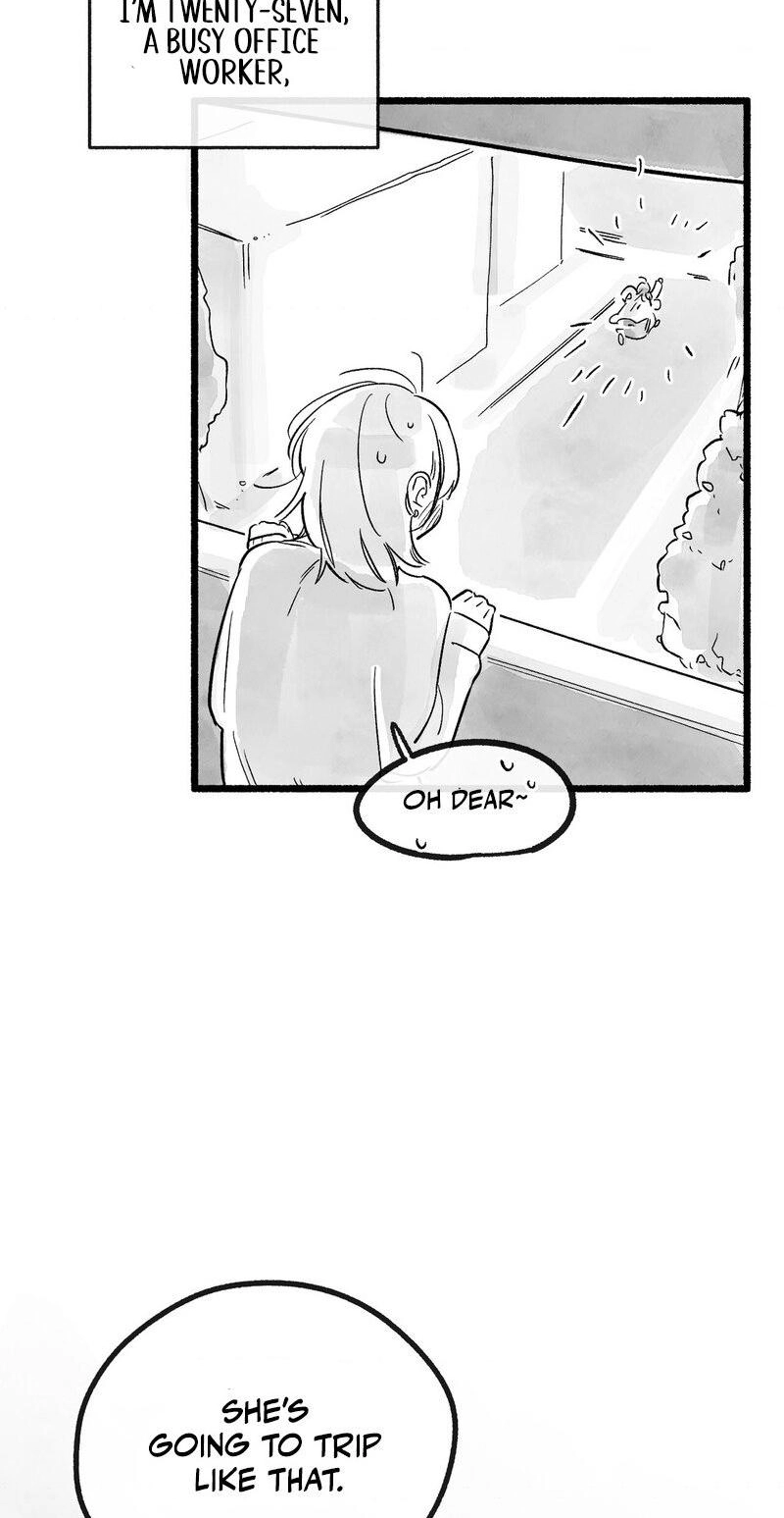 Common and Widespread Chapter 57 page 41 - 