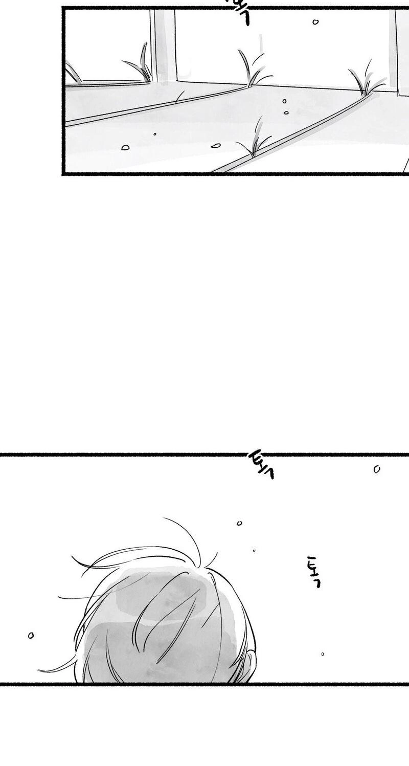 Common and Widespread Chapter 59 page 48 - 